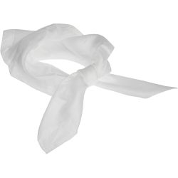 Sidenscarf