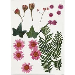 Torkade blommor och blad