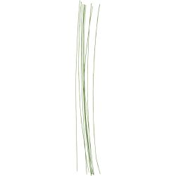 Blomstjälkar