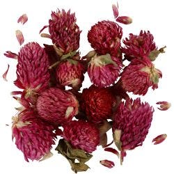 Torkade Blommor
