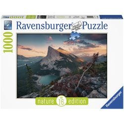 Ravensburger pussel Kattungar