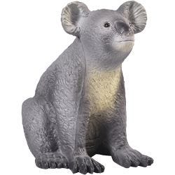 Koalor