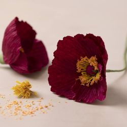 Mini DIY Kit Kräppapper