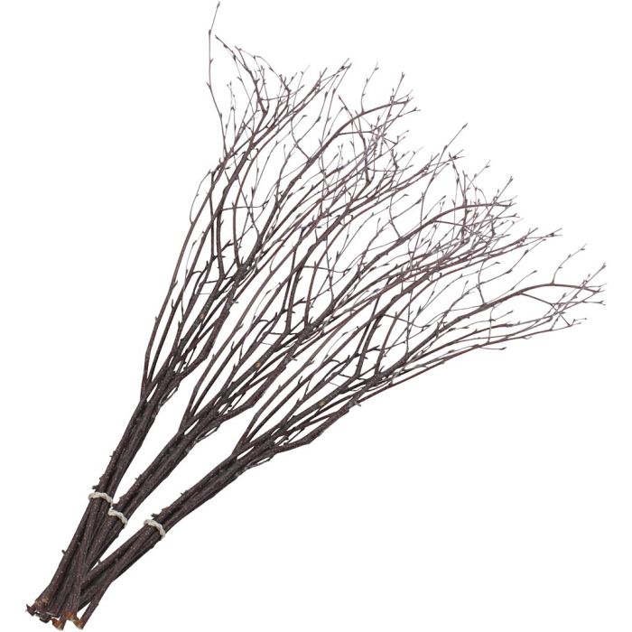 Påskris, L: 50-60 cm, 2x10736648 st./ 1 förp.