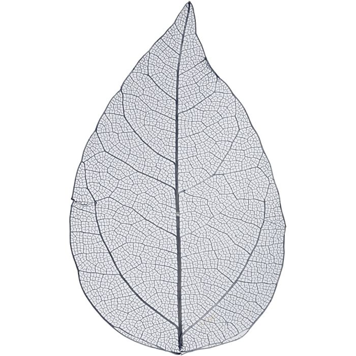 Skelettblad, L: 6-8 cm, blå, 20 st./ 1 förp.