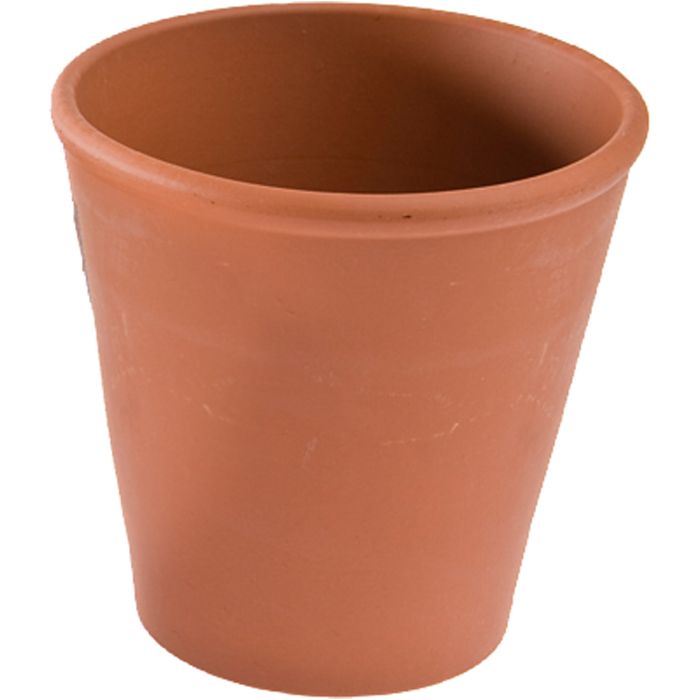 Rosenkruka, H: 10 cm, Dia. 8 cm, 12 st./ 1 förp.