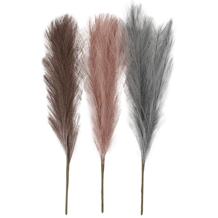 Pampasgräs, L: 50 cm, dusty blue, frostad lila, gml. rosa, 3 st./ 1 bunt