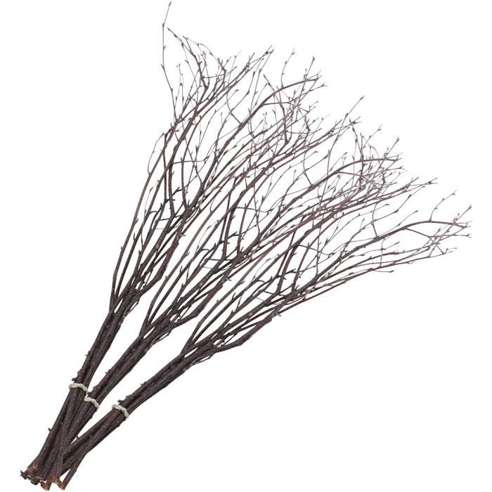 Påskris, L: 50-60 cm, 20 st./ 1 förp.