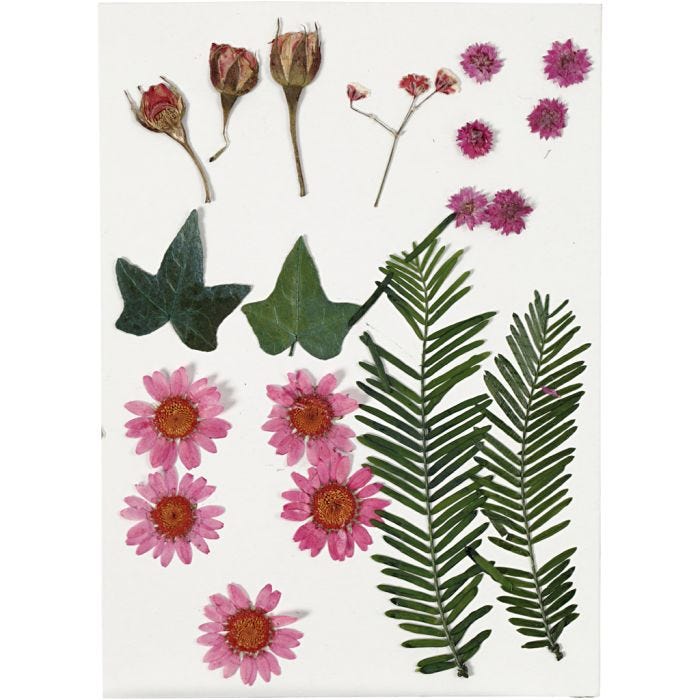 Torkade blommor och blad, ljusröd, 1 förp.