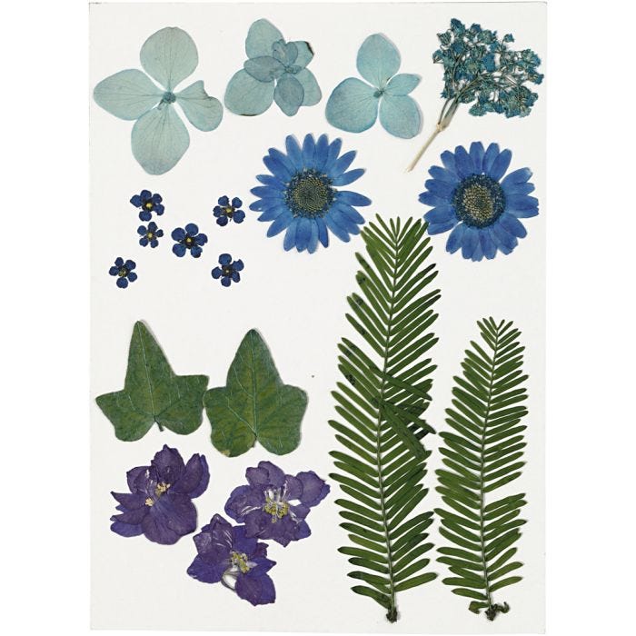 Torkade blommor och blad, blå, 1 förp.