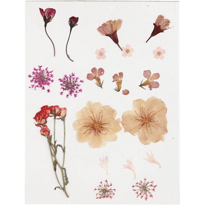 Torkade blommor och blad, ljusrosa, 1 förp.