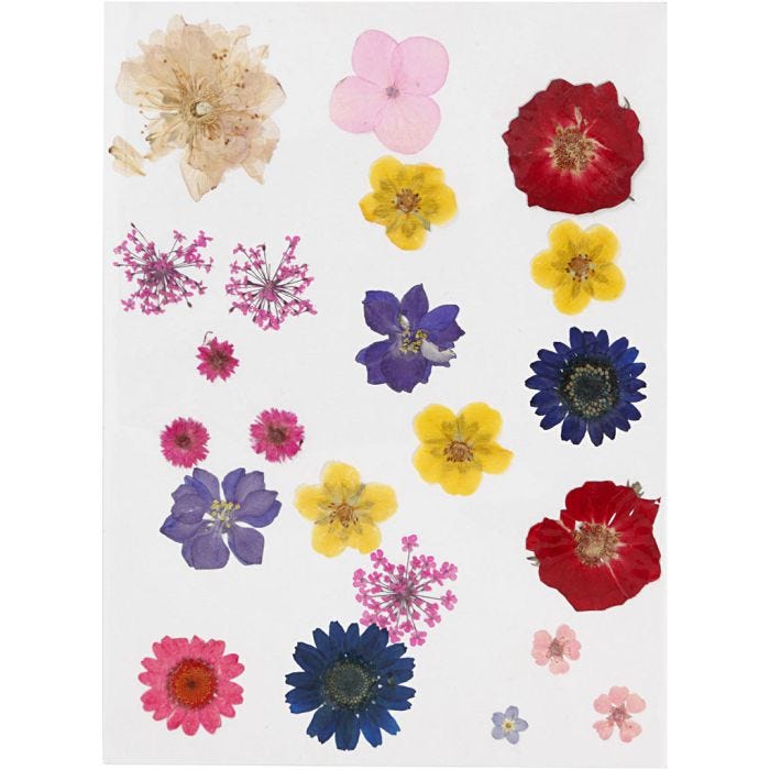Torkade blommor och blad, mixade färger, 1 förp.
