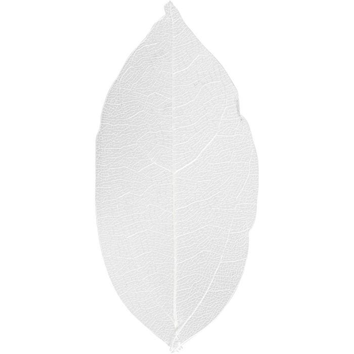 Skelettblad, L: 6-8 cm, vit, 20 st./ 1 förp.