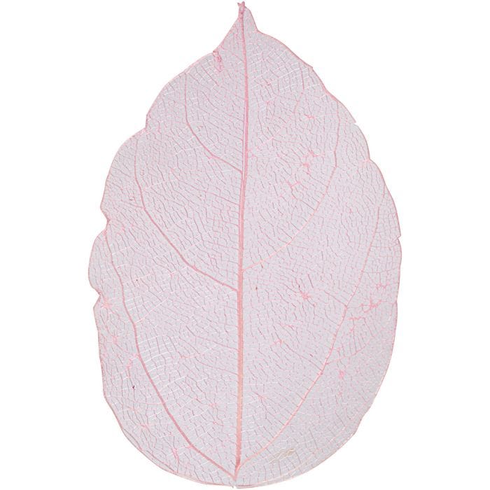 Skelettblad, L: 6-8 cm, ljusröd, 20 st./ 1 förp.