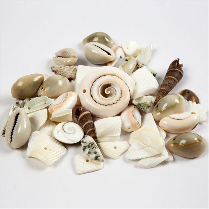 Strandsnäckor, stl. 9-40 mm, Hålstl. 1-1,5 mm, 120 g/ 1 förp.