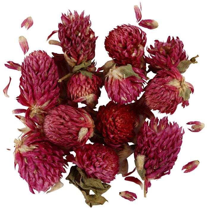 Torkade Blommor, Rödklöver, L: 1,5-2,5 cm, Dia. 1 - 1,5 cm, 15 g, lila, 1 förp.