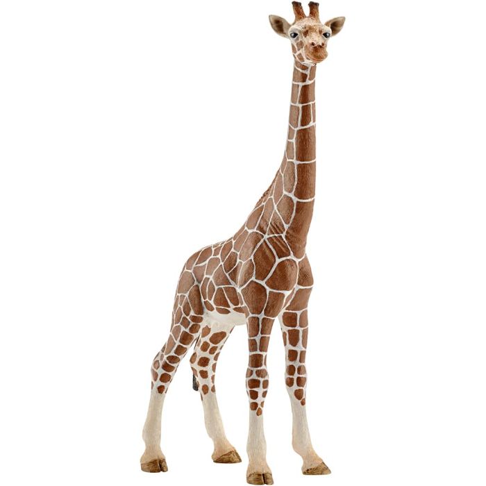 Schleich Vilda djur, Giraffhona, stl. 17,2x9x4,2 cm, 1 st.