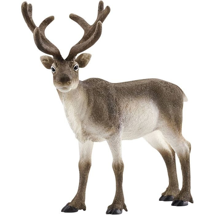 Schleich Nordiskt djurliv, Ren, stl. 12x12,5x6 cm, 1 st.