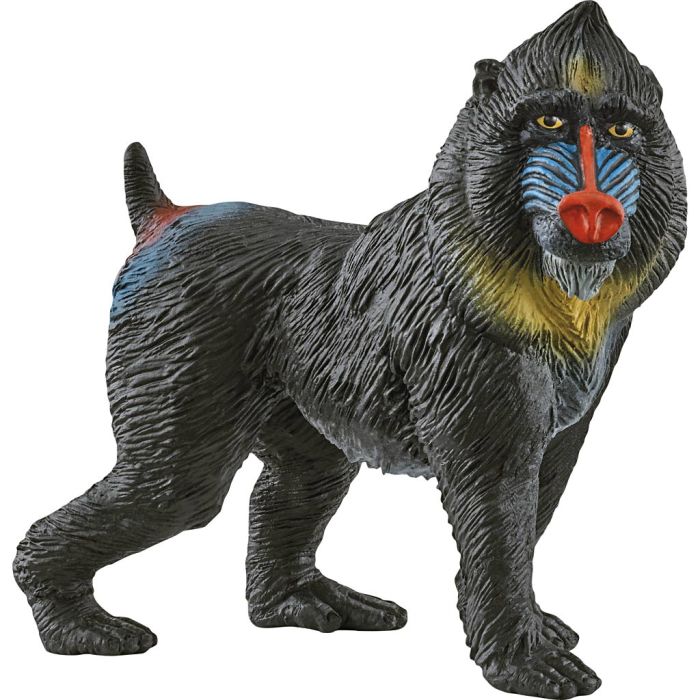 Schleich Nordiskt djurliv, Mandrill, stl. 3,4x9+5x2,8 cm, 1 st.
