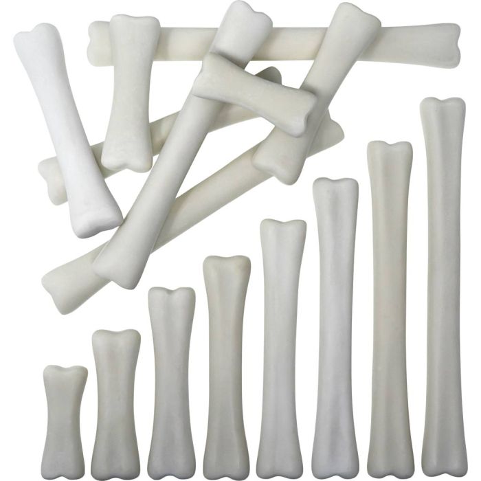 Dinosaurieben, Ben, stl. 6-20 cm, 16 delar/ 1 förp.