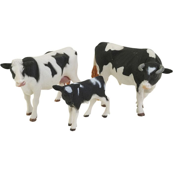 Svartbrokig kofamilj, 1 set