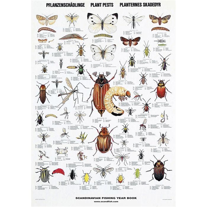 Undervisningsaffisch, Växternas skadedjur, stl. 70x100 cm, 1 st.