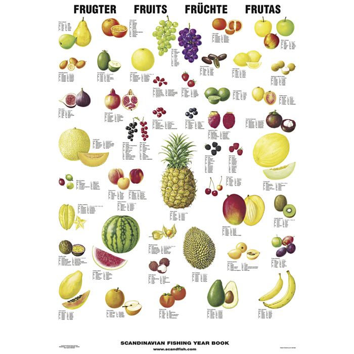 Undervisningsaffisch, Frukt, stl. 70x100 cm, 1 st.