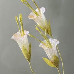 Trumpetranka med blomma i kräppapper