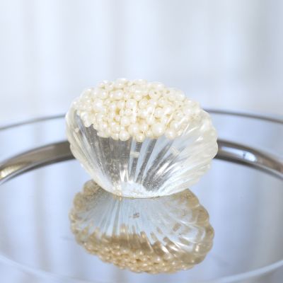 Skal i klar bio-resin med pärlor