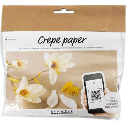 Mini DIY Kit Kräppapper